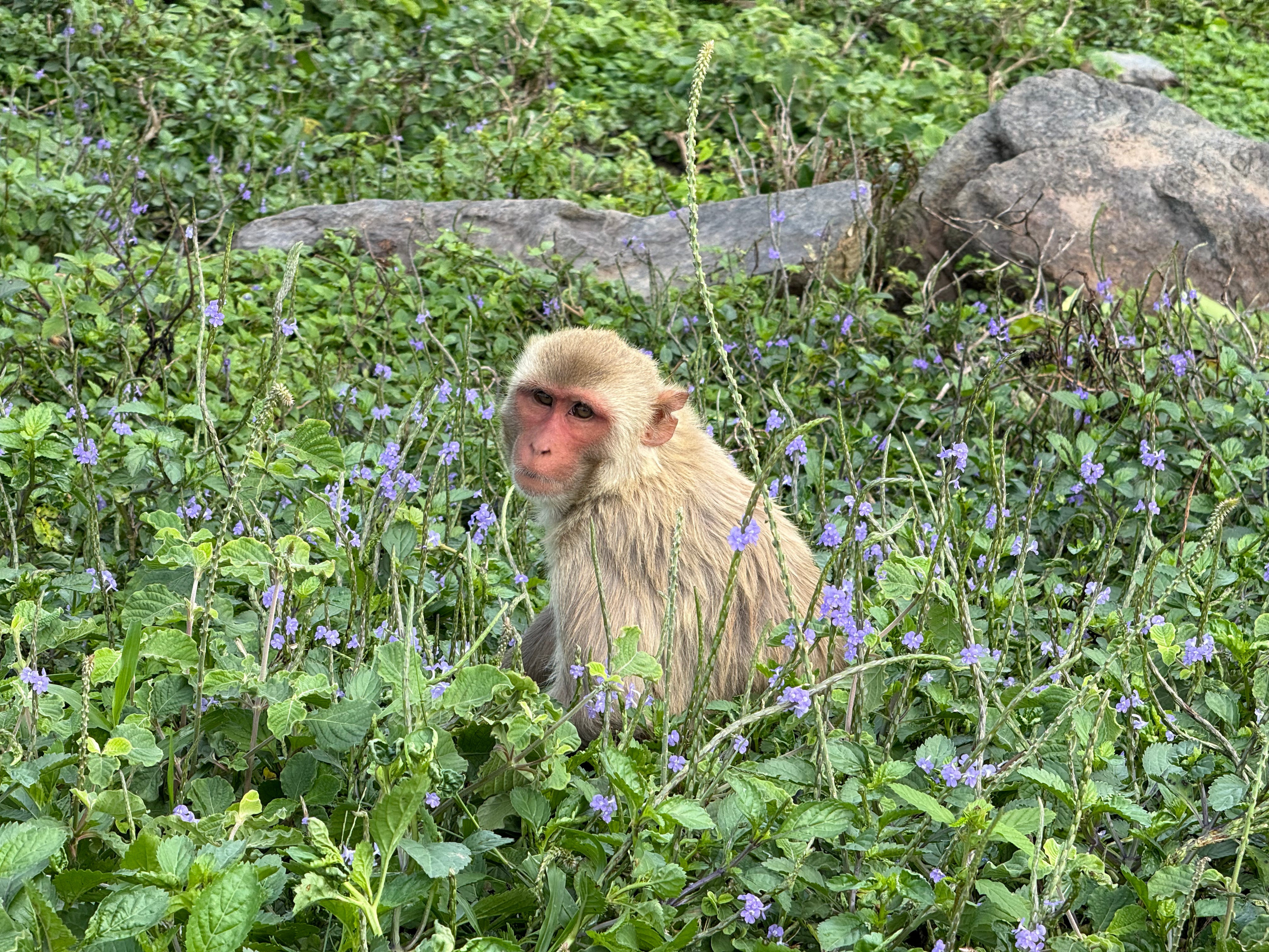 Catalina I. Villamil